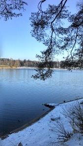 Lac des settons en hiver