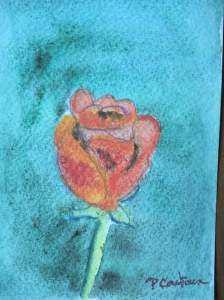 rose rouge aquarelle-carte pascale coutoux